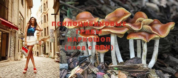 мет Балахна