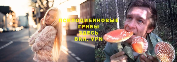 мяу мяу мука Баксан