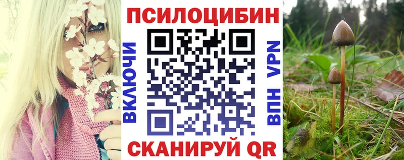 Купить где  Цивильск  Псилоцибиновые грибы мухоморы 